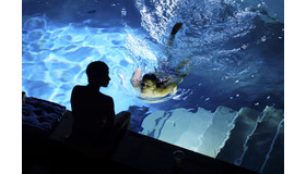 『クレッシェンド 音楽の架け橋』（C）CCC Filmkunst GmbH