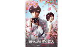 Netflix映画『桜のような僕の恋人』