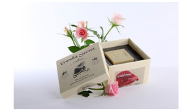 「ガミラシークレット ワイルドローズ」