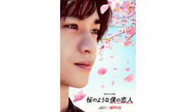 Netflix映画『桜のような僕の恋人』