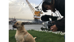 『ストレイ 犬が見た世界』メイキング　(C)2020 THIS WAS ARGOS,LLC