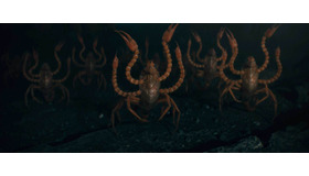 『ファンタスティック・ビーストとダンブルドアの秘密』（C）2022 Warner Bros. Ent. All Rights ReservedWizarding World TM Publishing Rights（C）J.K. RowlingWIZARDING WORLD and all related characters and elements are trademarks of and（C）Warner Bros. Entertainment Inc.