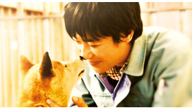 『ひまわりと子犬の7日間』 -(C) 「ひまわりと子犬の7日間」製作委員会