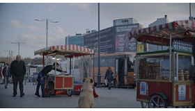 『ストレイ 犬が見た世界』　（C）2020 THIS WAS ARGOS,LLC