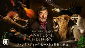 「ファンタスティック・ビーストと動物の歴史」（C） Warner Bros. Entertainment UK Limited 2022