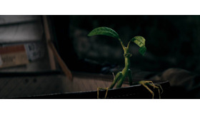 ボウトラックルのピケット『ファンタスティック・ビーストとダンブルドアの秘密』（C）2022 Warner Bros. Ent. All Rights ReservedWizarding World TM Publishing Rights（C）J.K. RowlingWIZARDING WORLD and all related characters and elements are trademarks of and（C）Warner Bros. Entertainment Inc.