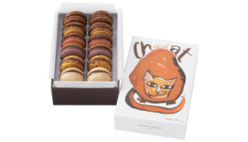 ニコラ・ヴィアール氏による猫のボックス（マカロン12個詰め合わせ）