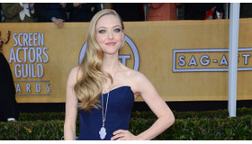 「第19回SAG賞」授賞式に出席したアマンダ・セイフライド-(C) Getty Images