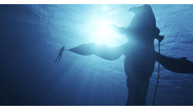 『アバター:ウェ イ・オブ・ウォーター』（C） 2022 20th Century Studios. All Rights Reserved.