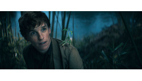 『ファンタスティック・ビーストとダンブルドアの秘密』(c)2021 Warner Bros. Ent. All Rights Reserved. J.K. Rowling’s Wizarding World TM J.K. Rowling and Warner Bros. Entertainment Inc.Harry Potter and Fantastic Beasts Publishing Rights (c) J.K.R.