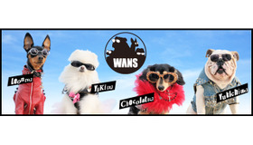 「いぬのきもち」新CMでデビューするロックバンド「WANS」メンバー