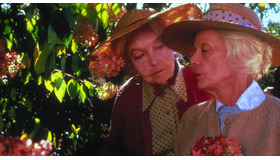 『八月の鯨』 -(C) 1988 Alive Films,Inc.and Orion Pictures Corporation.All Right Reserved.