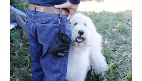 『ハウ』オフショット（C）2022「ハウ」製作委員会