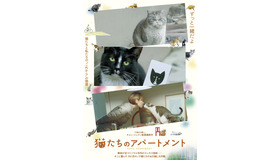 『猫たちのアパートメント』©2020 MOT FILMS All rights reserved.