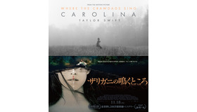 『ザリガニの鳴くところ』