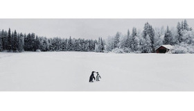 Story36… 2013 Pigment Print 1280x480mm