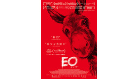 『EO』© 2022 Skopia Film, Alien Films, Warmia-Masuria Film Fund/Centre for Education and Cultural Initiatives in Olsztyn, Podkarpackie Regional Film Fund, Strefa Kultury Wrocław, Polwell, Moderator Inwestycje, Veilo ALL RIGHTS RESERVED