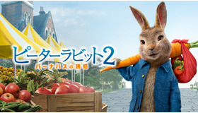 金曜ロードショー『ピーターラビット２／バーナバスの誘惑』© 2021 Columbia Pictures Industries, Inc., 2.0 Entertainment Borrower, LLC and MRC II Distribution Company L.P. All Rights Reserved.