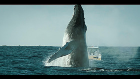 「THE SWARM（ザ・スウォーム）」©SchwarmTVProductionGmbH&CoKG