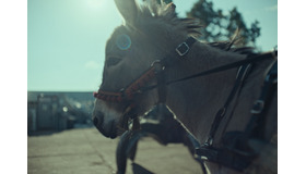 『EO イーオー』© 2022 Skopia Film, Alien Films, Warmia-Masuria Film Fund/Centre for Education and Cultural Initiatives in Olsztyn, Podkarpackie Regional Film Fund, Strefa Kultury Wrocław, Polwell, Moderator Inwestycje, Veilo ALL RIGHTS RESERVED