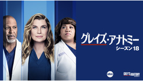 「グレイズ・アナトミー シーズン18」© 2023 ABC Studios