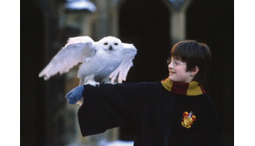 『ハリー・ポッターと賢者の石』HARRY POTTER characters, names and related indicia are trademarks of and (C) Warner Bros. Entertainment Inc.Harry Potter Publishing Rights (C) J. K. Rowling. (C) 2001 Warner Bros. Entertainment Inc. All rights reserved.