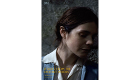 『栗の森のものがたり』　© NOSOROGI - TRANSMEDIA PRODUCTION - RTV SLOVENIJA - DFFB 2019