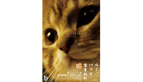 『ルー、パリで生まれた猫』猫チラシ　© 2023 MC4–ORANGE STUDIO–JMH & FILO Films