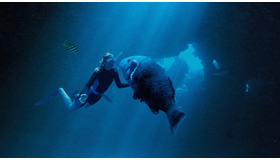 『ブルーバック あの海を見ていた』©2022 ARENAMEDIA PTY LTD, SCREENWEST (AUSTRALIA) LTD AND SCREEN AUSTRALIA