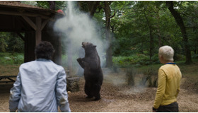 『コカイン・ベア』　Ⓒ2022 UNIVERSAL STUDIOS