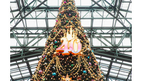 圧倒的にロマンティック！約15メートル、40周年の巨大クリスマスツリーの見逃せない輝き