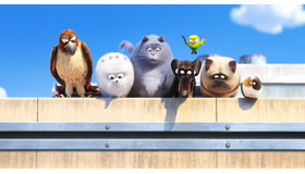 『ペット』© 2016 UNIVERSAL STUDIOS. ALL RIGHTS RESERVED.