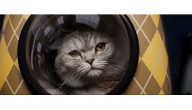 『ARGYLLE／アーガイル』© Universal Pictures