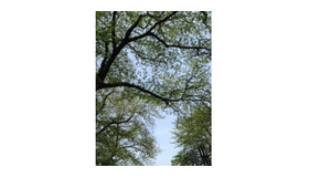 【雅子ブログ】カンヌ2013ラインナップが発表