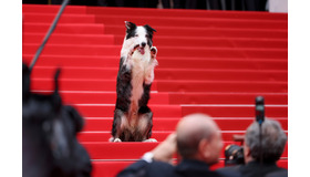 メッシ／第77回カンヌ国際映画祭 Photo by Cindy Ord/Getty Images