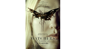 『ザ・ウォッチャーズ』©2024 WARNER BROS. ENT. ALL RIGHTS RESERVED