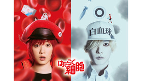 『はたらく細胞』(C)清水茜／講談社　(C)2024映画「はたらく細胞」製作委員会