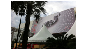 【MOVIEブログ】カンヌ前半戦日記