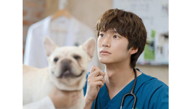 俳優ナ・イヌ、新ドラマでは“犬系男子”に。一途な田舎の獣医役で女性の心を揺さぶる！