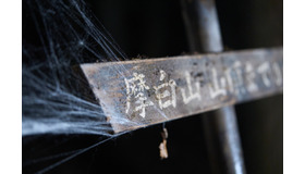 『ミッシング・チャイルド・ビデオテープ』©︎2024「ミッシング・チャイルド・ビデオテープ」製作委員会