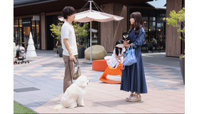 「初恋DOGs」第1話（C）TBS