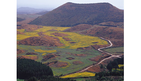 「ロケ地名所」済州島の景観を代表するオルムとは何か