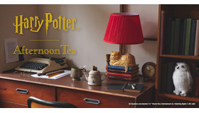 Afternoon Tea LIVING All characters and elements © & ™ Warner Bros. Entertainment Inc. Publishing Rights © JKR. (s25)