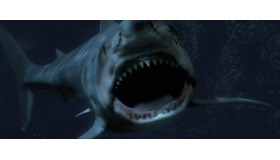 『シャークゾーン』© 2025 Acme Holding Company, LLC.