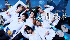 「人間標本」©2025 Amazon Content Services LLC or its Affiliates.