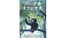 『パンダのすごい世界』