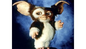 『グレムリン』 Photo by Warner Bros. Pictures/Amblin E/Sunset Boulevard/Corbis via Getty Images