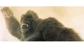 Apple TV「モナーク：レガシー・オブ・モンスターズ」シーズン2画像・映像提供 Apple TV