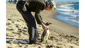 『ペンギン・レッスン』