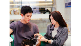 “リアル方言で演技” アン・ボヒョンに好評！『スプリング・フィーバー』の真っ直ぐなヒーローが刺さる！